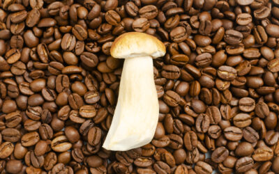 Mushroom Coffee for Stress Relief? What the Science Says